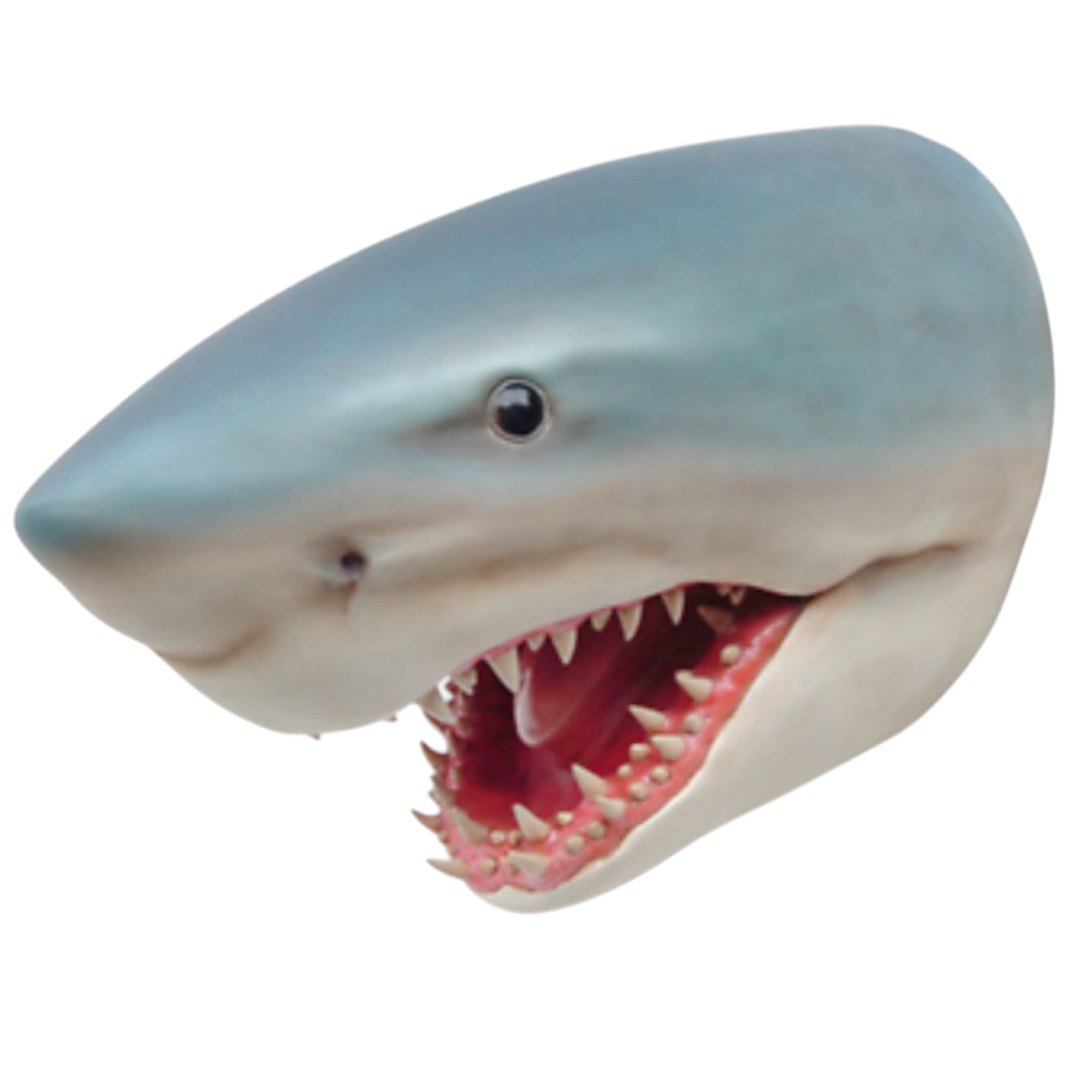 XXL Premium Haikopf lebensgross Shark Fisch Haifisch Hai-Deko auch zum aufhängen