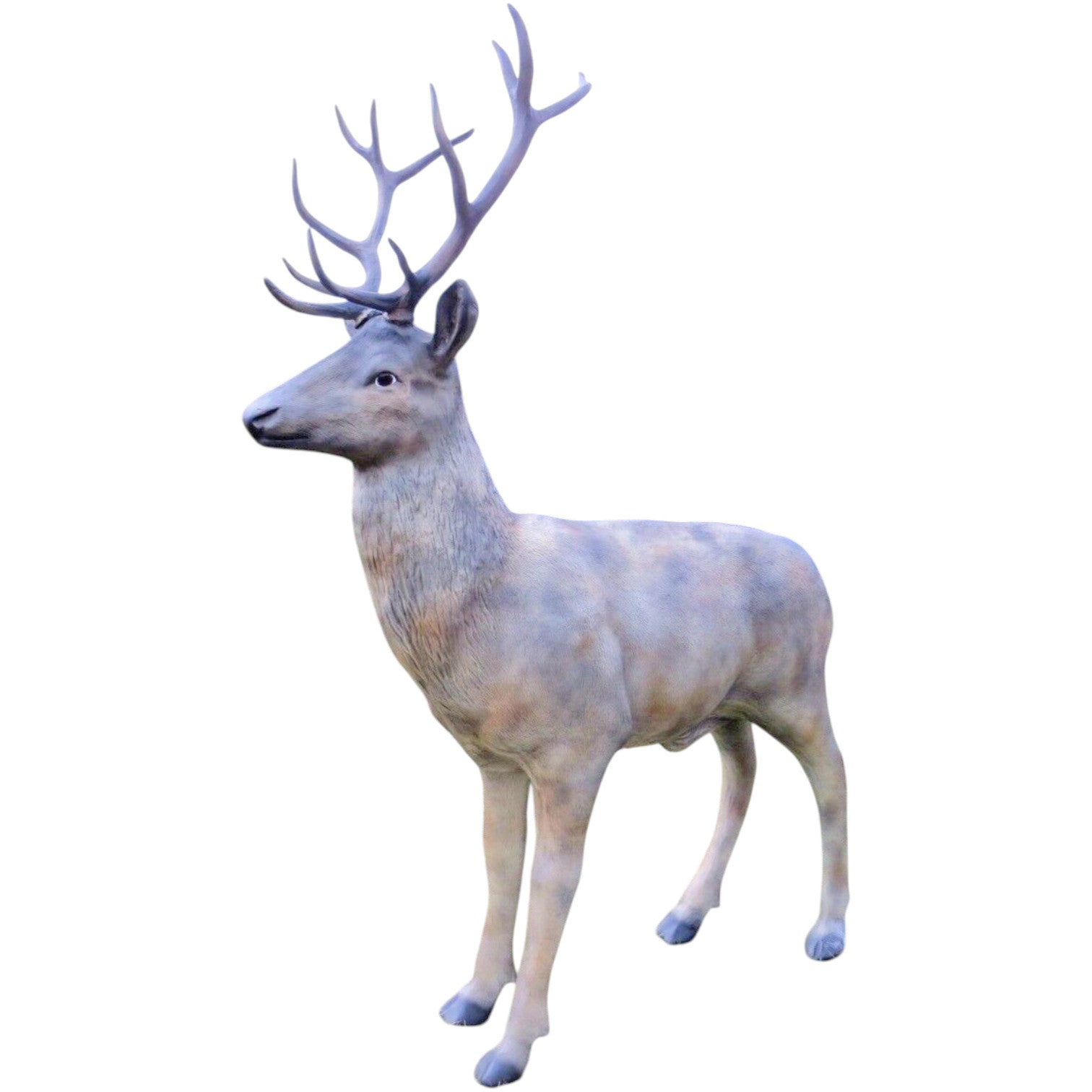 XXL Hirsch dunkel Rothirsch lebensgross 250 cm Wild Garten Deko-Figur