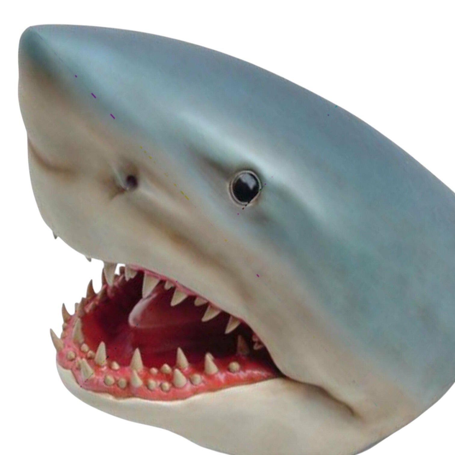XXL Premium Haikopf lebensgross Shark Fisch Haifisch Hai-Deko auch zum aufhängen
