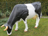 XXL Kuh lebensgross grasend ca. 230 cm Premium Gartendeko lebensecht Garten-Deko-Figur-