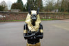 XXL Premium Anubis ägypt. Figur lebensgross 180 x 42 x 40 cm  Garten Deko Figur